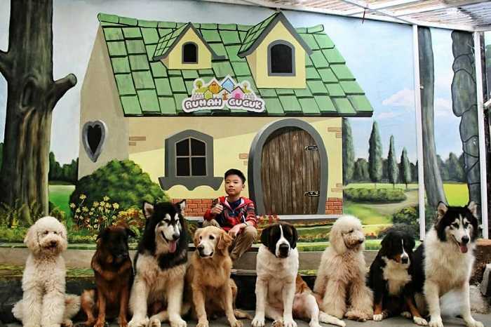 Berwisata ke Rumah Guguk Bandung