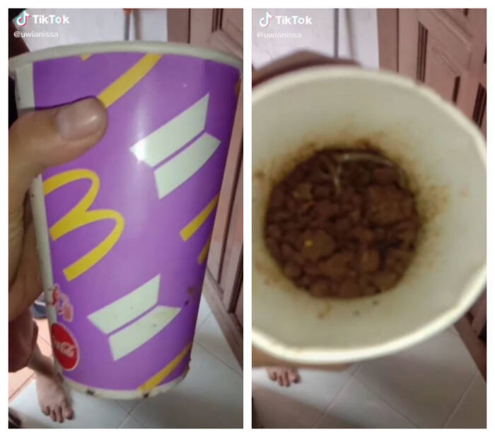 BTS Meal