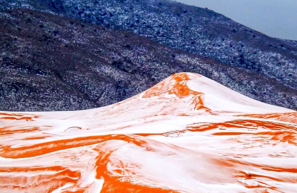 gurun sahara