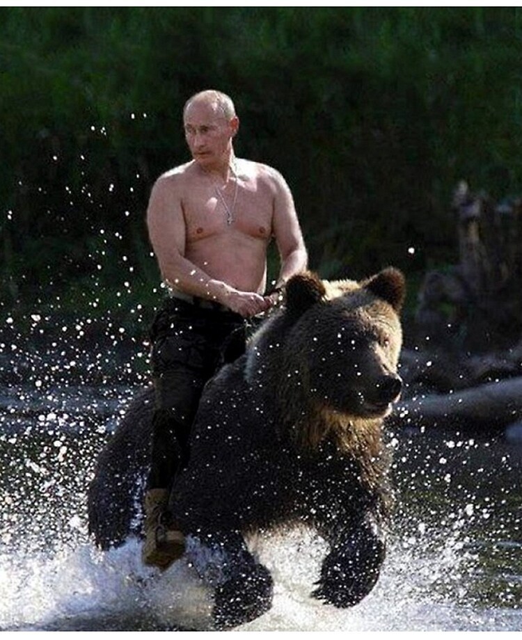 Vladimir Putin 