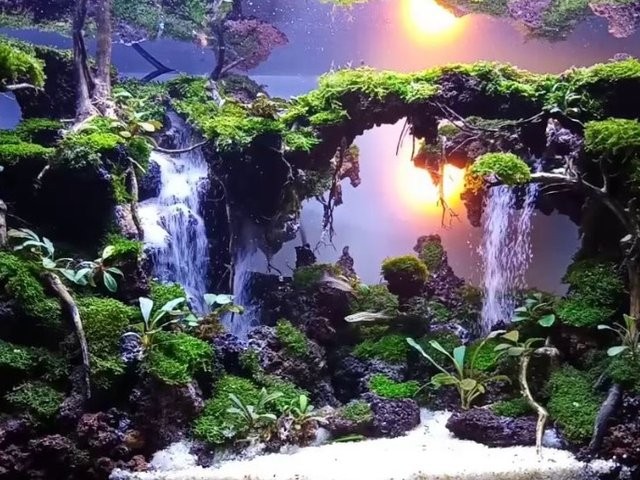 Aquascape dengan air terjun