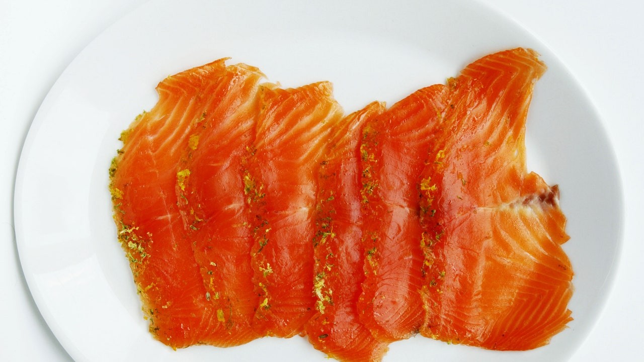 Salmon