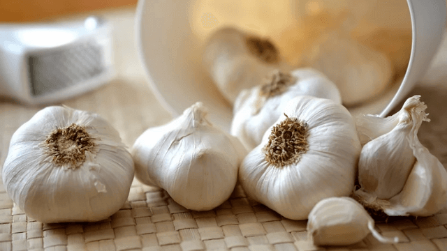 Ilustrasi Foto Bawang Putih