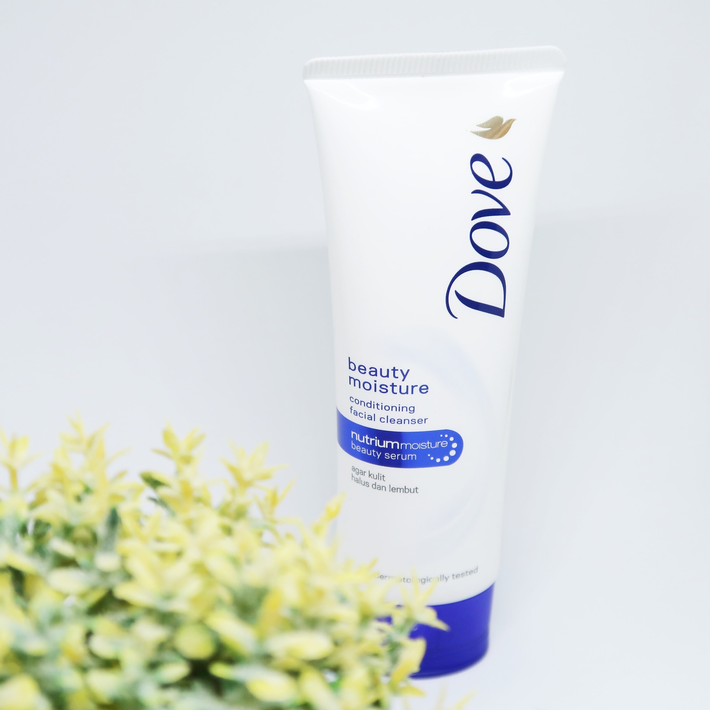 Dove Beauty Moisture Facial Foam