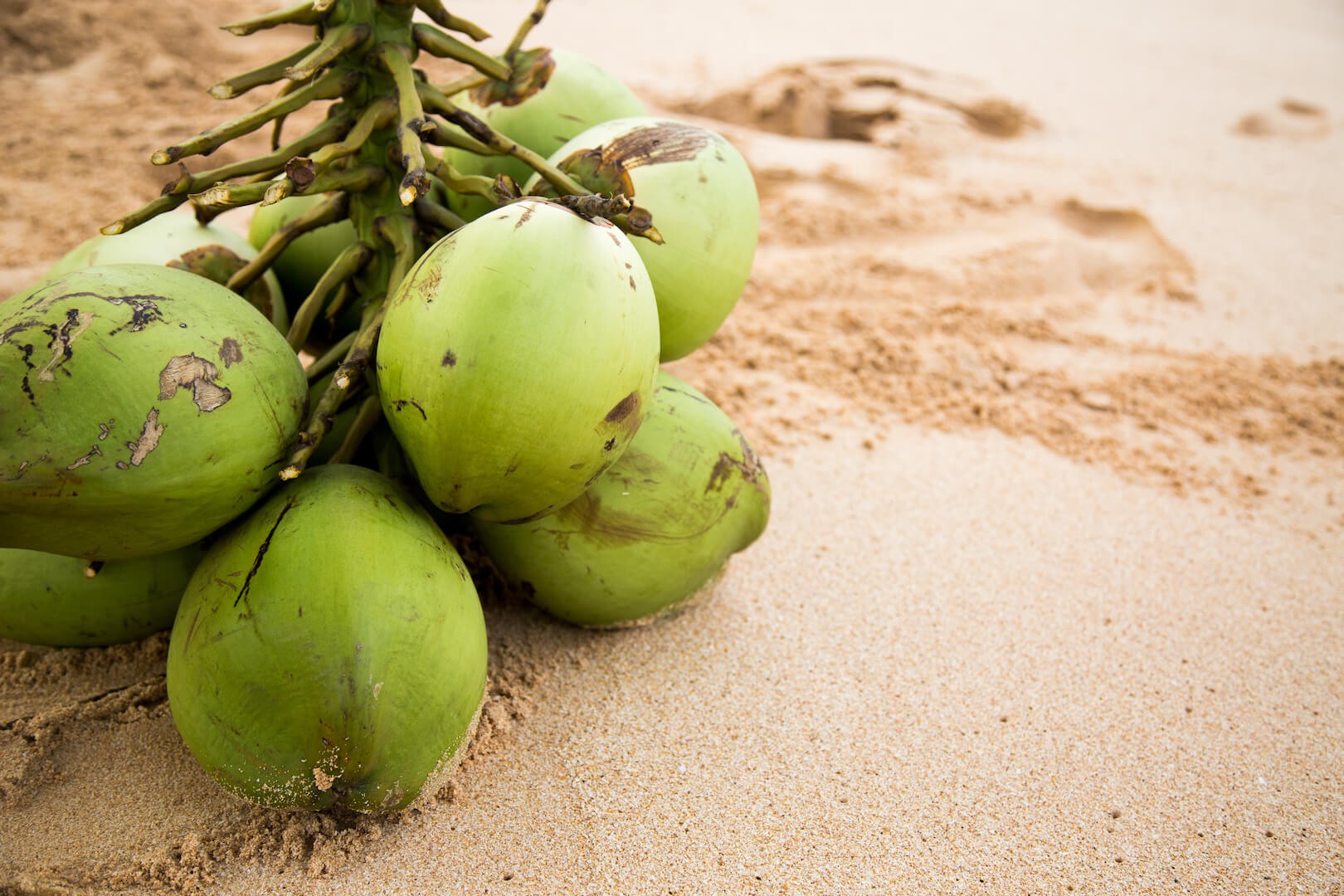 Kelapa hijau 