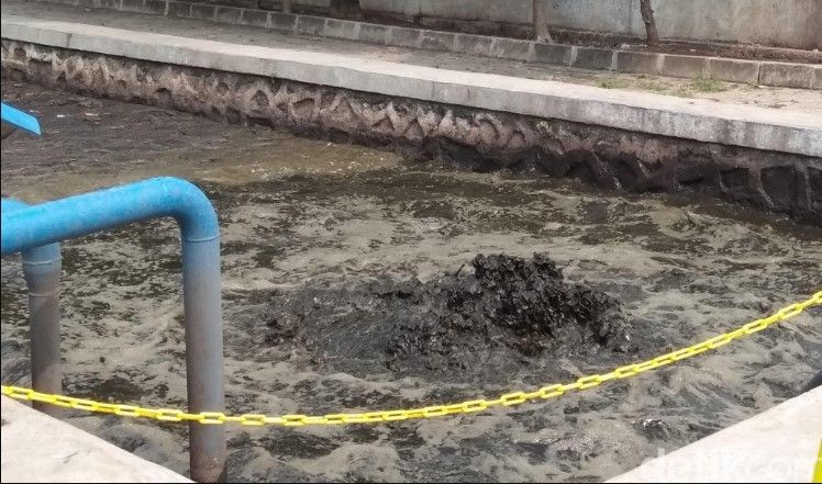 Mobil sedot tinja membuang muatannya di kolam penampungan