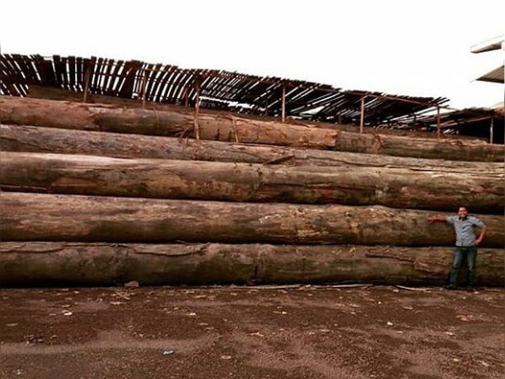 kayu