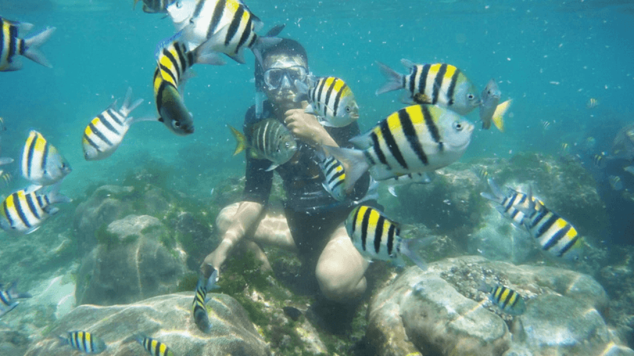 Snorkeling 