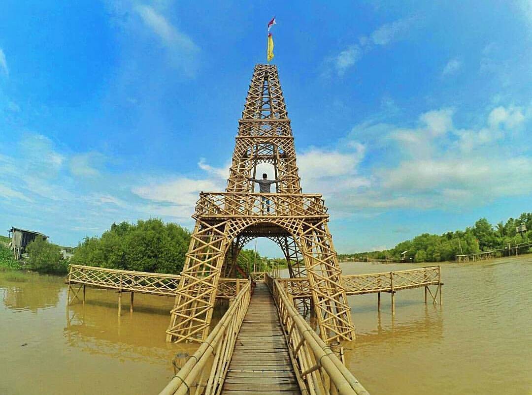 Lokasi dan Tiket Masuk Hutan Mangrove Jogja