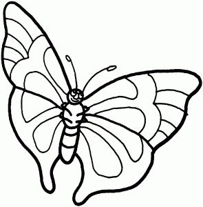 gambar kupu-kupu